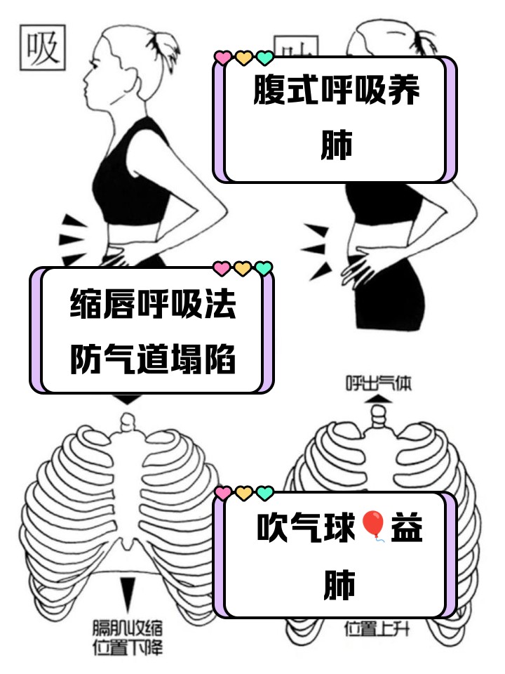 篮球运动员在高强度训练时的呼吸调整